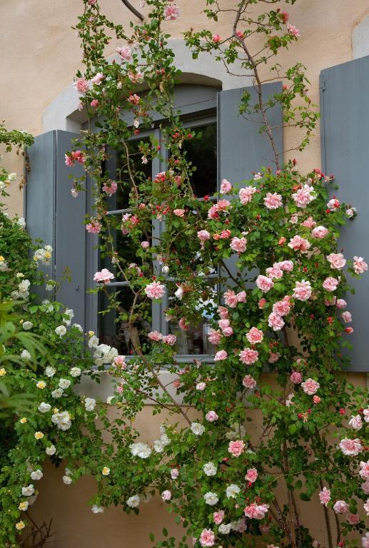 Logis Hotel - Restaurant La Marbrerie Caunes-Minervois Номер фото